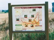 Nuestra ruta Micolgica en Osona. Osona, Soria